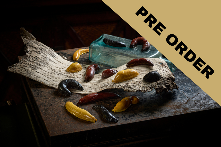 PRE-ORDER 14 Chocolate Garden Slugs