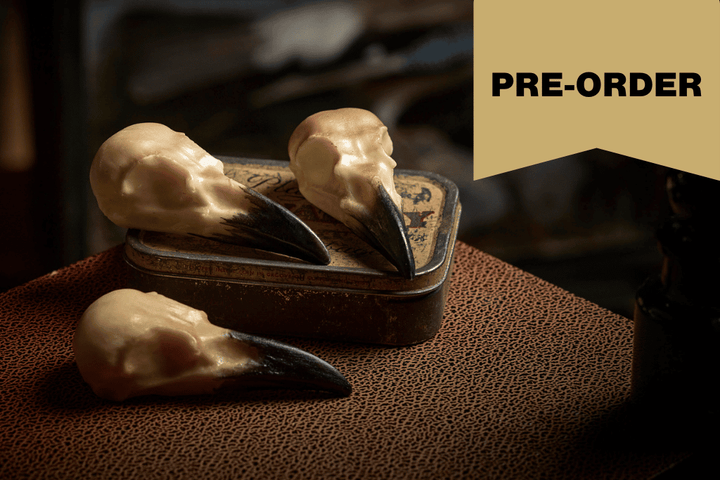 PRE-ORDER  Chocolate Crow Skulls