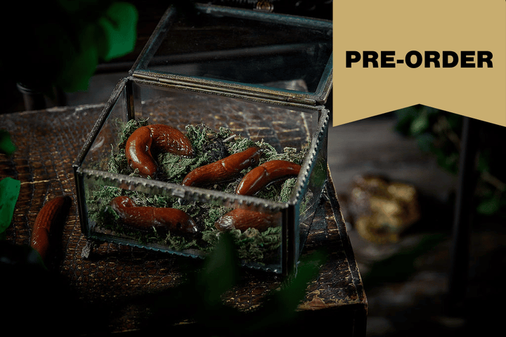 PRE-ORDER 14 Chocolate Garden Slugs