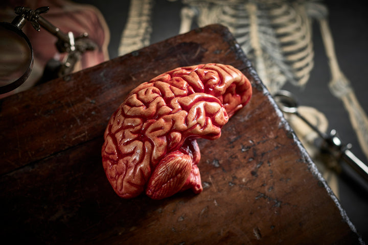 realistic chocolate brain on old wooden box
