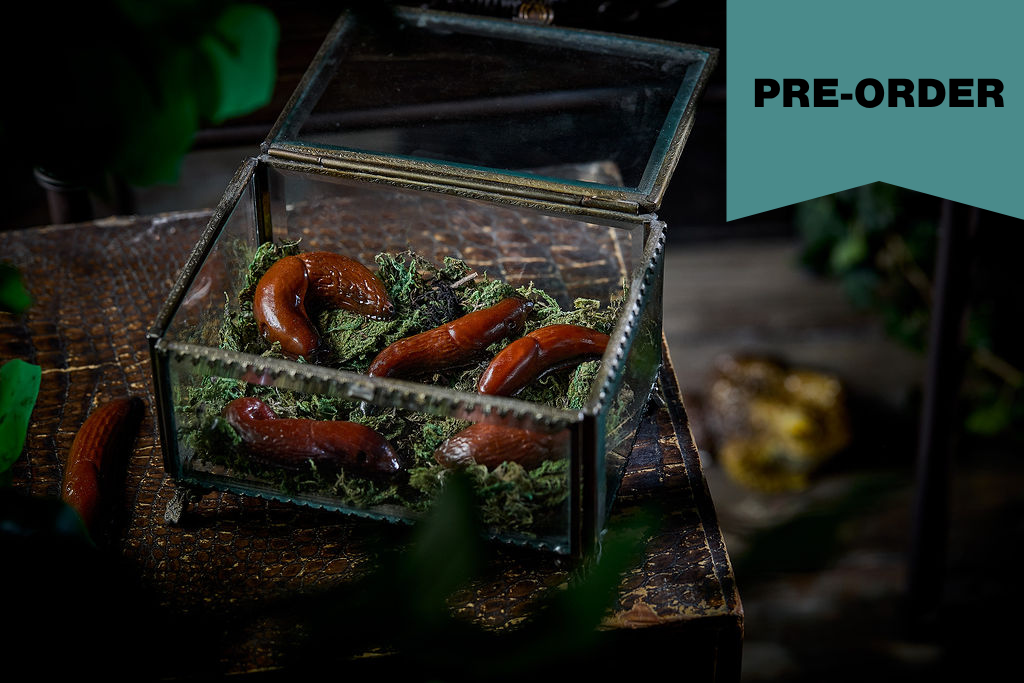 A clear glass terrarium with a metal frame containing dried green moss and several reddish-brown slugs sculpted from chocolate, displayed on a rustic wooden surface with a dark moody background and a teal 'PRE-ORDER' banner in the top right.