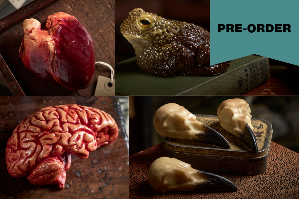 A four-panel collage showing horror-themed collectible chocolate art: a realistic severed heart, a toad on a book, a realistic brain, and bird skulls in a tin, with a teal 'PRE-ORDER' banner in the top right.