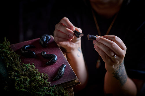 Person holding and examining chocolate leaches next to a book on a dark background. Halloween gift ideas by the Edible Museum 