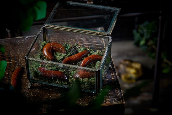 milk chocolate slugs in glass case