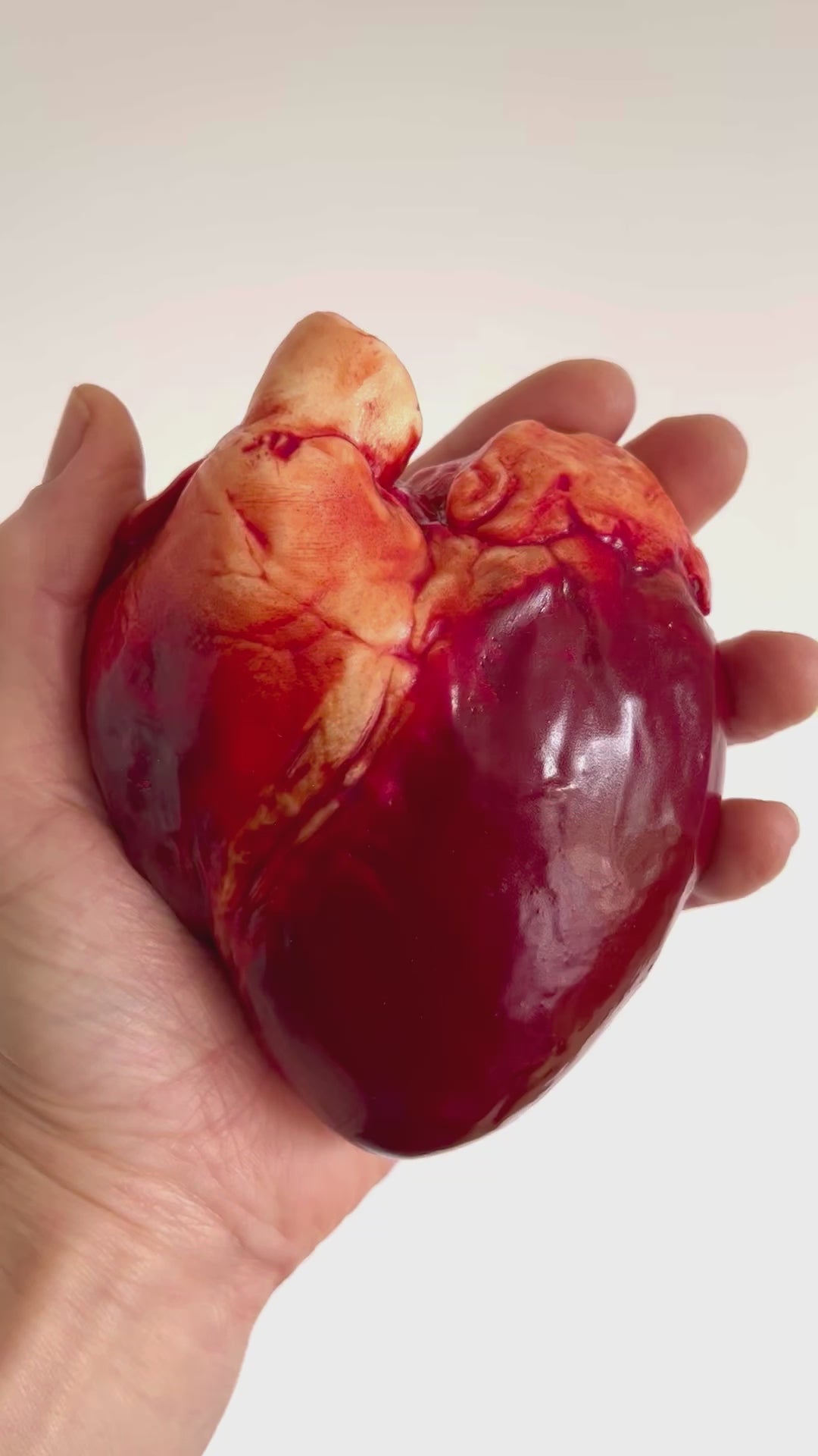 A chocolate anatomical heart with realistic details in a hand. Edible Museum - Edible Chocolate Art Gifts for Fans of Human Anatomy Interests