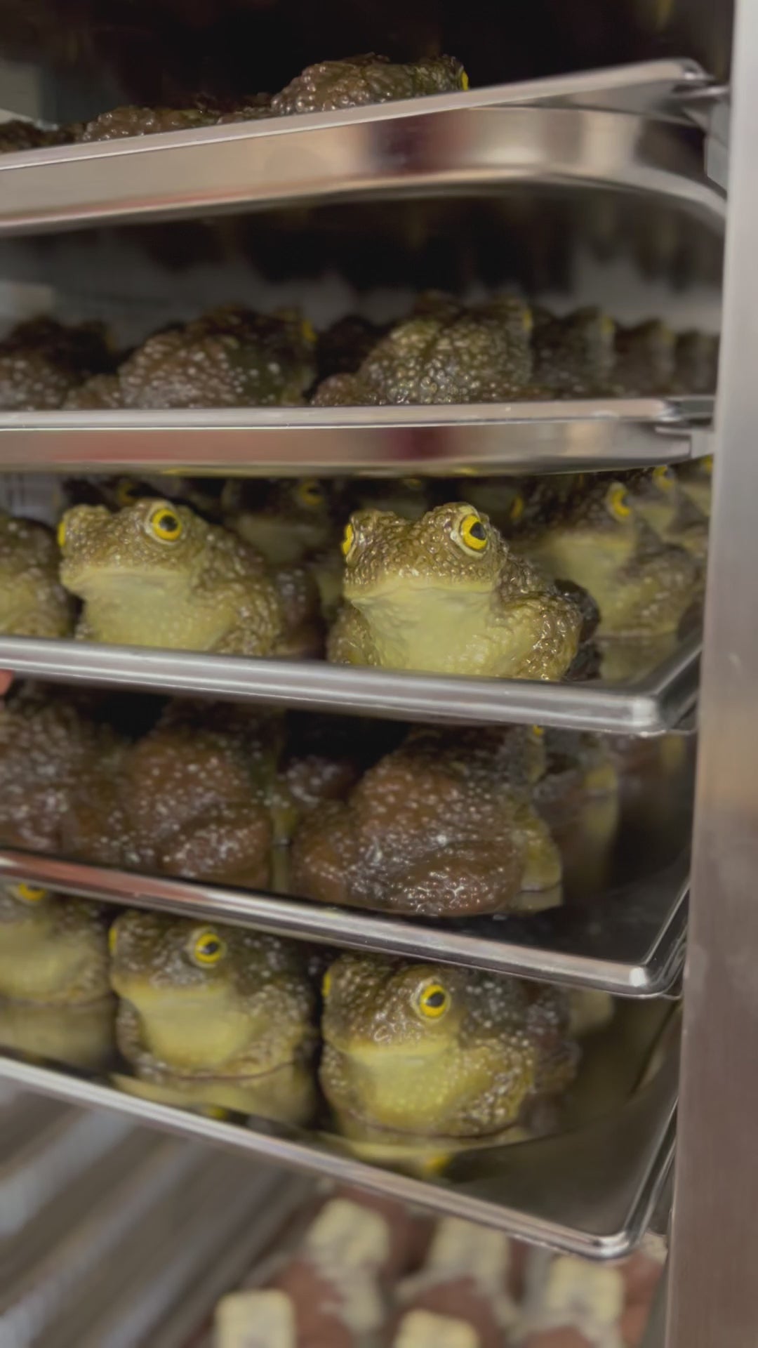 Chocolate Toads on a metal rack by the Edible Museum 