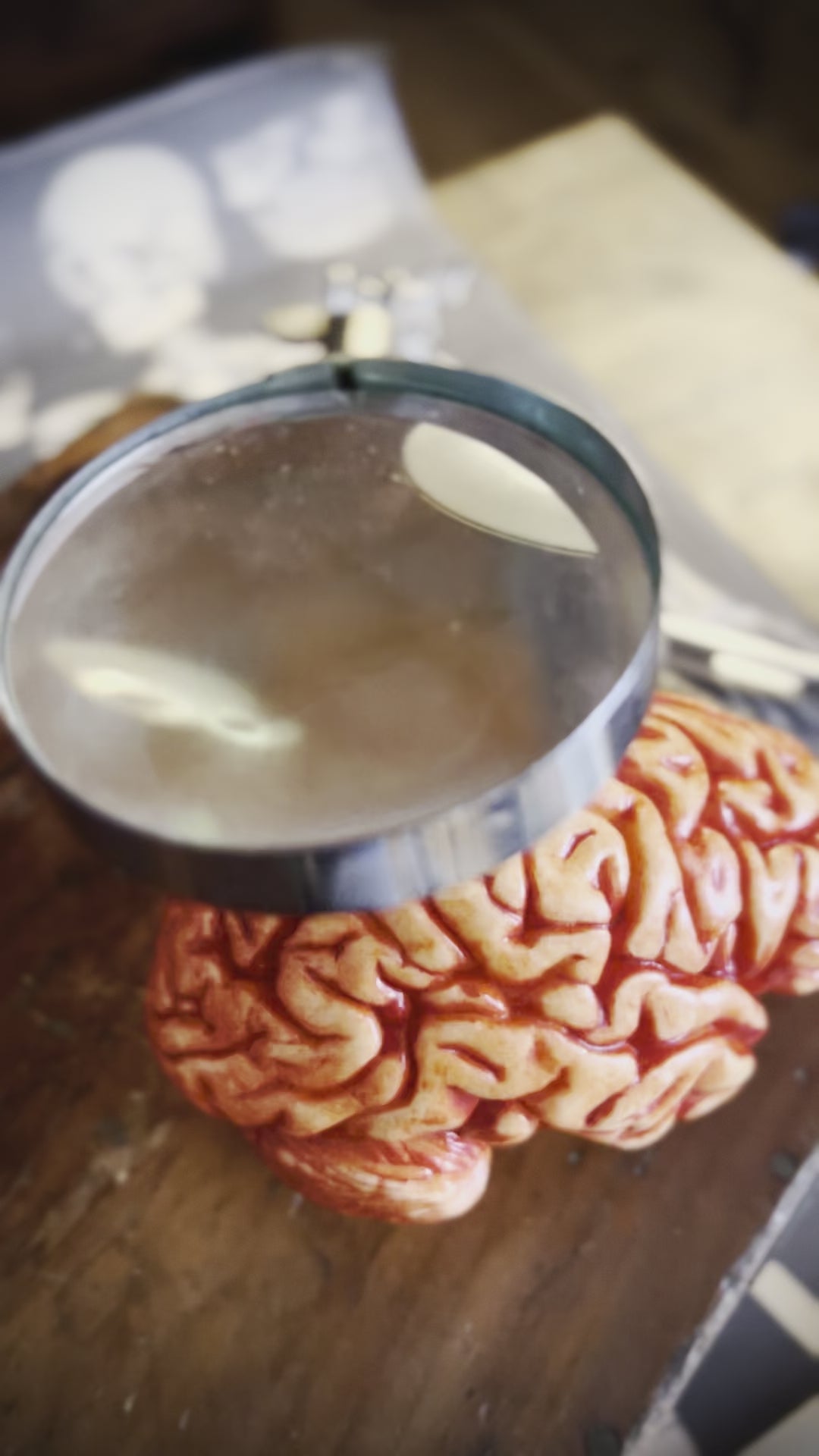 Zooming in on a realistic chocolate brain video clip. The Edible Museum