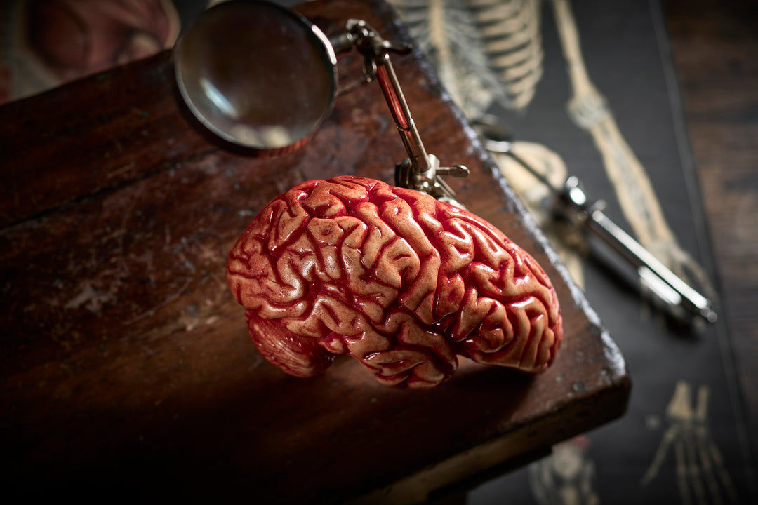 A photo of a hand-painted white chocolate hemisphere designed to resemble a human brain, presented on a wooden surface with a skeleton drawing in the background, indicative of a product meant for educational or decorative purposes in a medical or anatomical context.